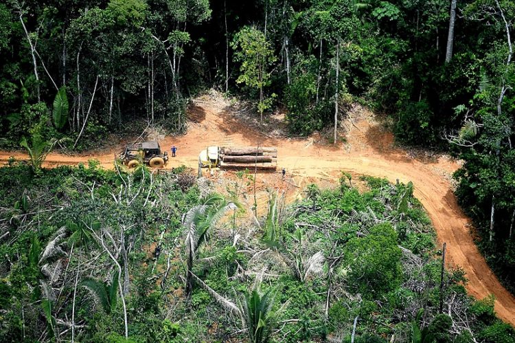 Grilagem de terras: Os maiores grileiros em áreas contínuas do Pará
