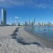 Balneário Camboriú com praias improprias para banho