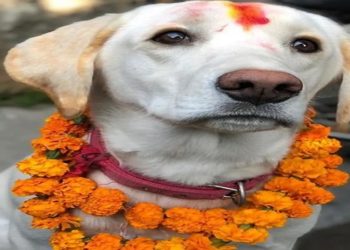 cães homenageados no Nepal