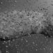 proteger a terra de asteroides