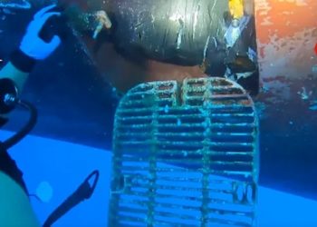 POLICIA ESPANHOLA APREENDE COCAINA EM NAVIO DO BRASIL