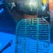 POLICIA ESPANHOLA APREENDE COCAINA EM NAVIO DO BRASIL