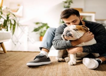 saúde de animais de estimação