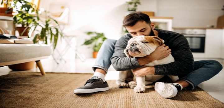 saúde de animais de estimação