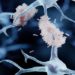 Chinês de 19 com Mal de Alzheimer