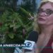 Maria Aparecida Paiva, idosa sequestrada e internada