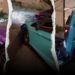 Manobrista na austrália bate lamborghinis