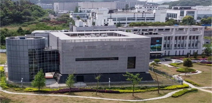 laboratorio chines que surgiu o coronavirus