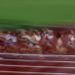 atletismo proibe mulheres trans