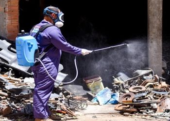 epidemia de dengue em campos