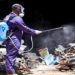 epidemia de dengue em campos