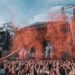 shows do loolapalooza brasil
