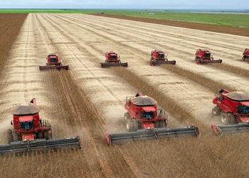 produção de soja em mato grosso