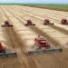produção de soja em mato grosso