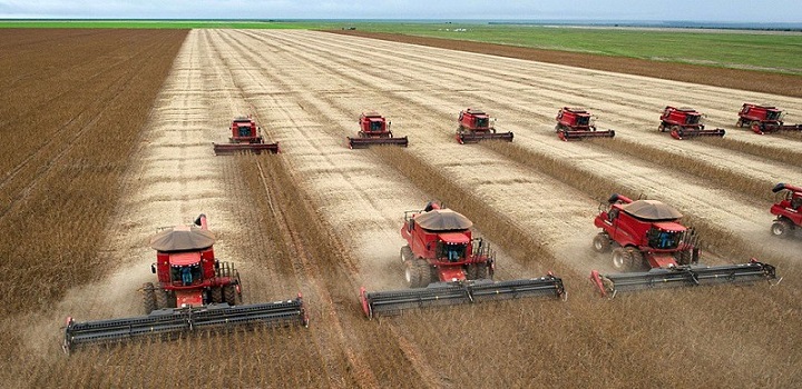 produção de soja em mato grosso