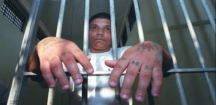 morte de pedrinho matador