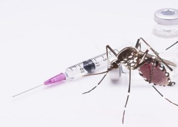 qdenga vacina dengue