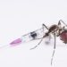 qdenga vacina dengue