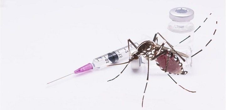 qdenga vacina dengue