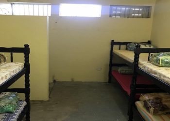 cela especial para curso superior