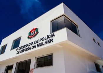 funcionamento das delegacias das mulheres