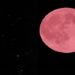 Super Lua Rosa