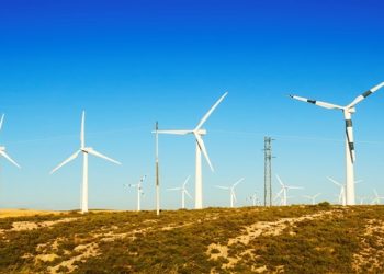 impactos ambientais da energia eólica