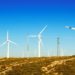 impactos ambientais da energia eólica