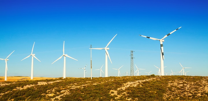 impactos ambientais da energia eólica