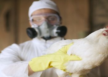 brasil decreta emergêmcia sanitária
