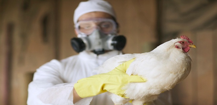 brasil decreta emergêmcia sanitária