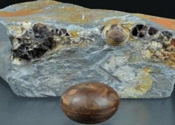 O que são as esferas de Klerksdorp, pedras misteriosas encontradas em rocha de 2,8 bilhões de anos?
