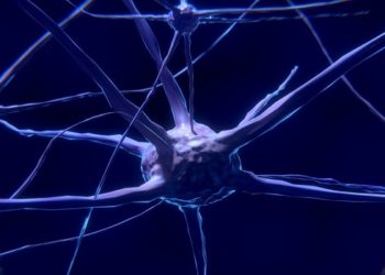 Cientistas estão criando computadores vivos com neurônios; entenda