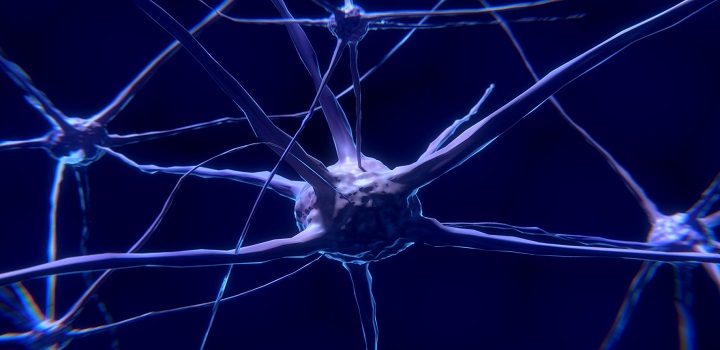 Cientistas estão criando computadores vivos com neurônios; entenda