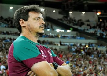 FERNANDO DINIZ TECNICO DA SELECAO