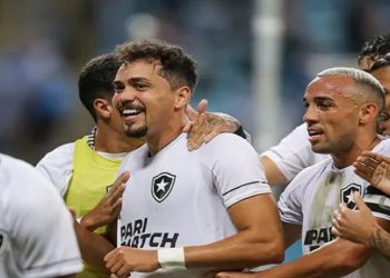 botafogo x gremio melhores momentos