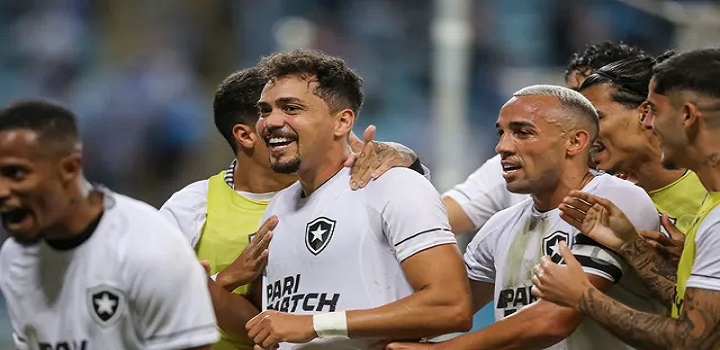 botafogo x gremio melhores momentos