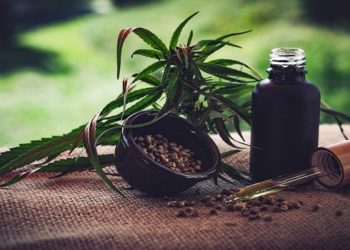 STJ autoriza três pacientes a cultivarem cannabis para fins medicinais