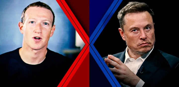 luta elon musk mark zuckerbeg