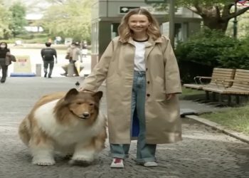 Cão humano: conheça a empresa por trás da fantasia realista de cachorro usada por homem japonês