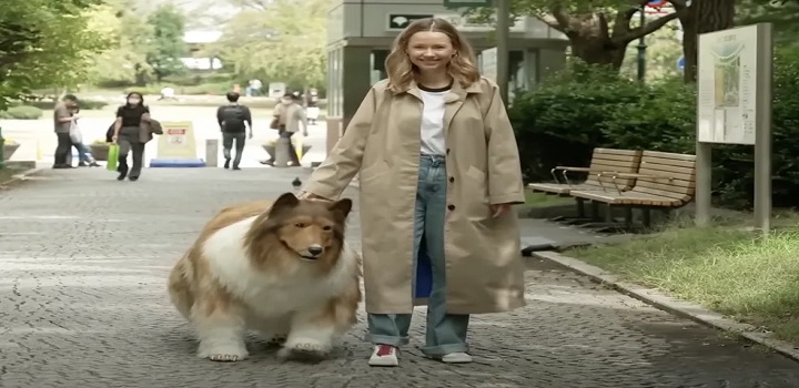 Cão humano: conheça a empresa por trás da fantasia realista de cachorro usada por homem japonês