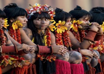 Povos indigenas
