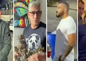 operação seeds: Polícia prende 4 em operação contra falsos laudos para cultivo de maconha em casa
