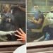 Alien é visto andando pelas ruas de Nova York; veja o vídeo