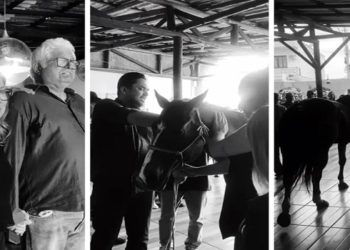 Família leva cavalo para velório da filha que morreu após cair de animal em SC: 'Conexão inexplicável