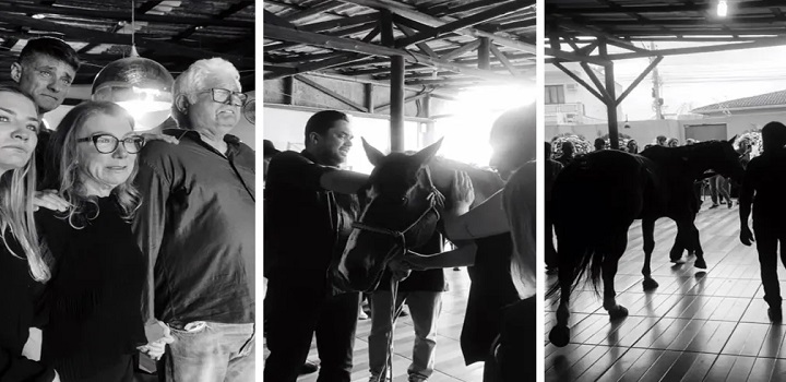 Família leva cavalo para velório da filha que morreu após cair de animal em SC: 'Conexão inexplicável