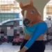 Após apresentação de 'Cavalo Tarado' em escola municipal, prefeitura do Rio abre sindicância