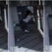 Vídeo mostra momento em que brasileiro foge da prisão nos EUA