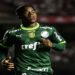 IDADE DE ENDRICK DO PALMEIRAS