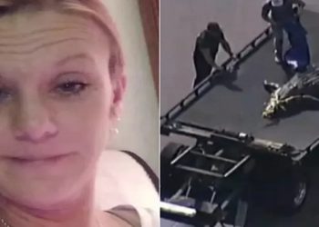 MULHER MORTA POR CROCODILO NOS EUA